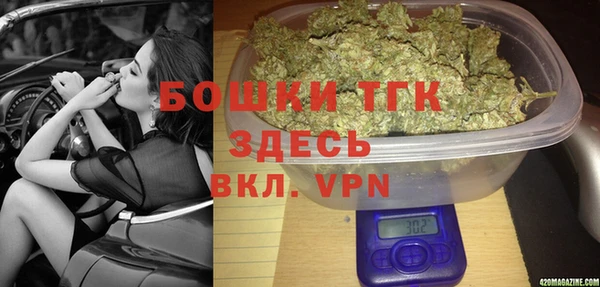 СК Пересвет